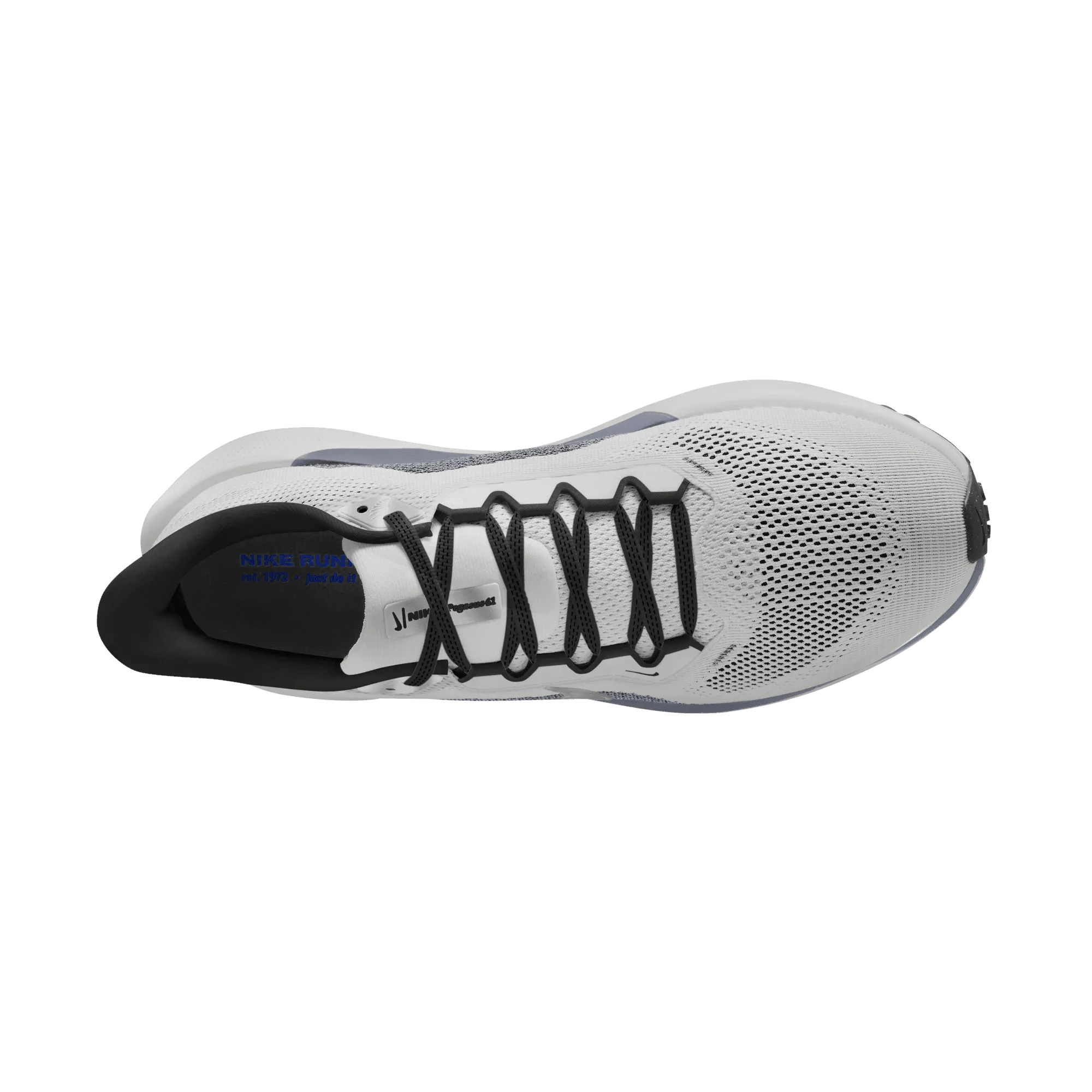 Men's Pegasus 41 (005 - Photon Dust/Metallic Silver-Ashen Slate)